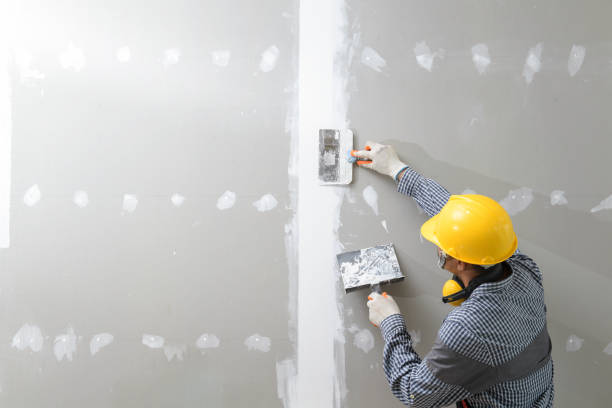 Best Mold Odor Removal Services  in Taft, TX
